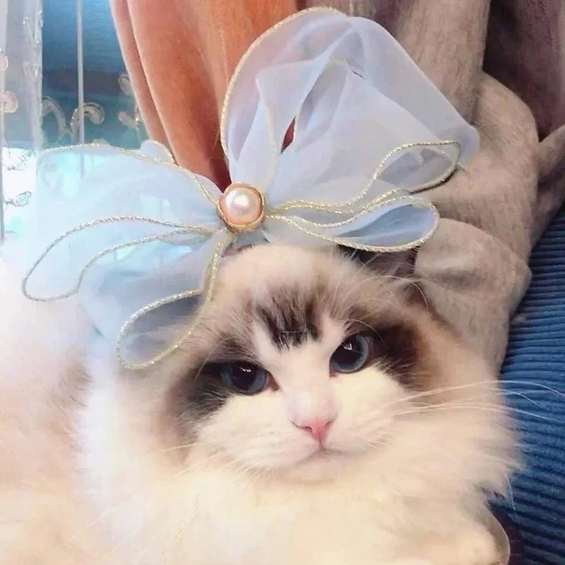 

Воротник с котом Фея Принцесса марионетка на ветру синий и белый короткий Тедди кружевной бант шарф нагрудник ювелирные изделия