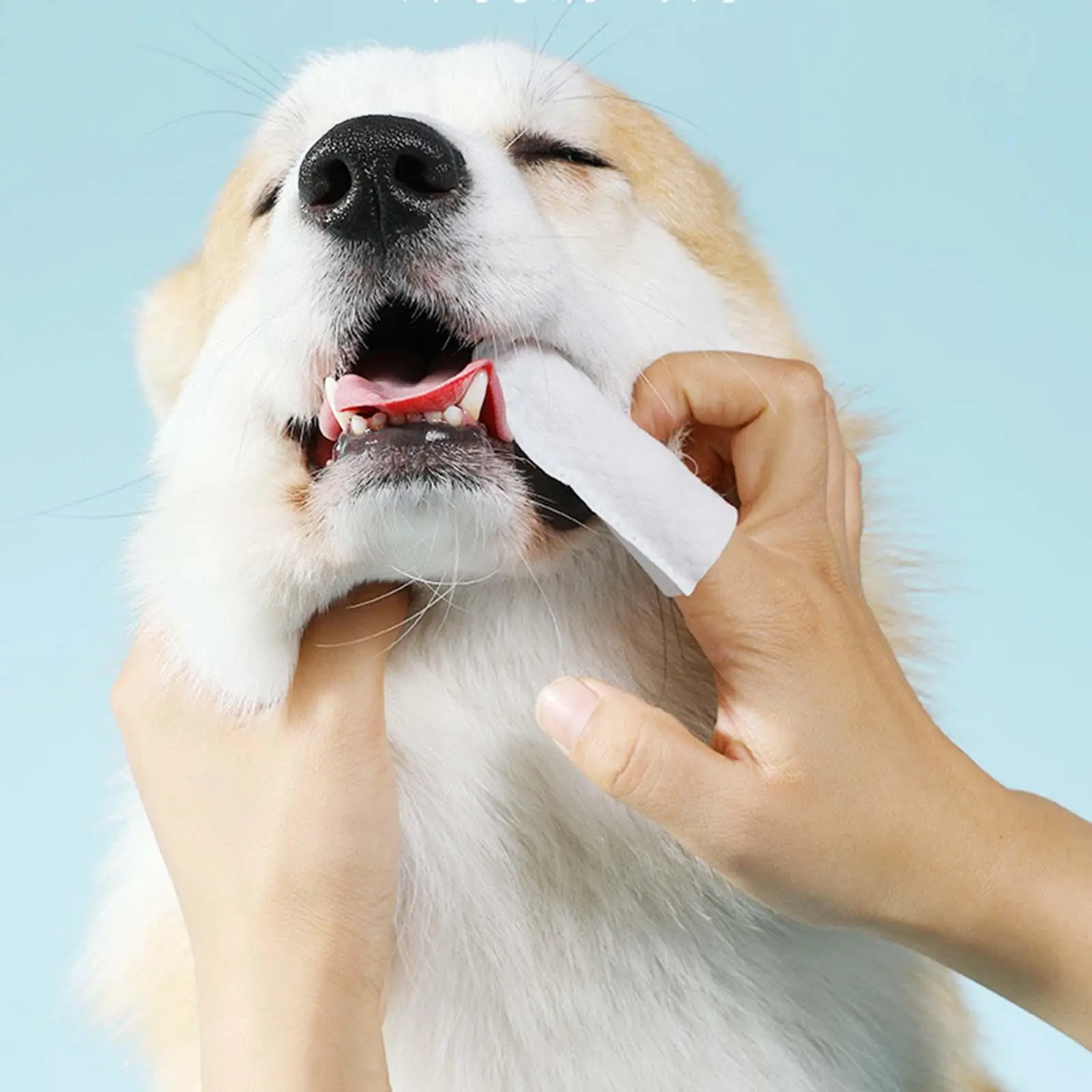 

50X салфетки для собак, влажные салфетки, салфетки для кошек, салфетки для удаления домашних животных