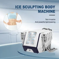 2022 Professional Weight Loss Machine For Remove Fat 8 Handles Diamond Ice Cryo Pads Cold Body Sculpting Criolipolisis Equipment