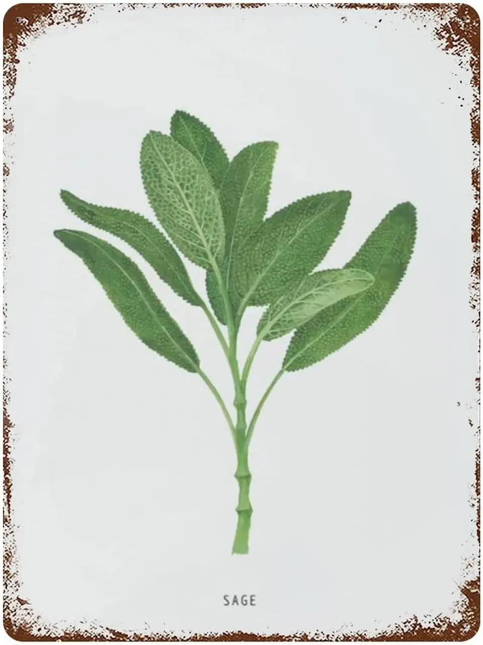 1a винтажная металлическая жестяная вывеска с шалфеем и травами забавная кухня