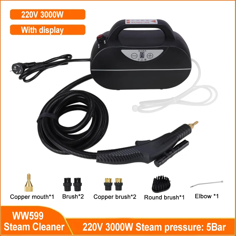 

220V High Temperature Steam Cleaner for Hood Air Conditioner Car Mobile Cleaning Machine Pumping Sterilization Disinfector