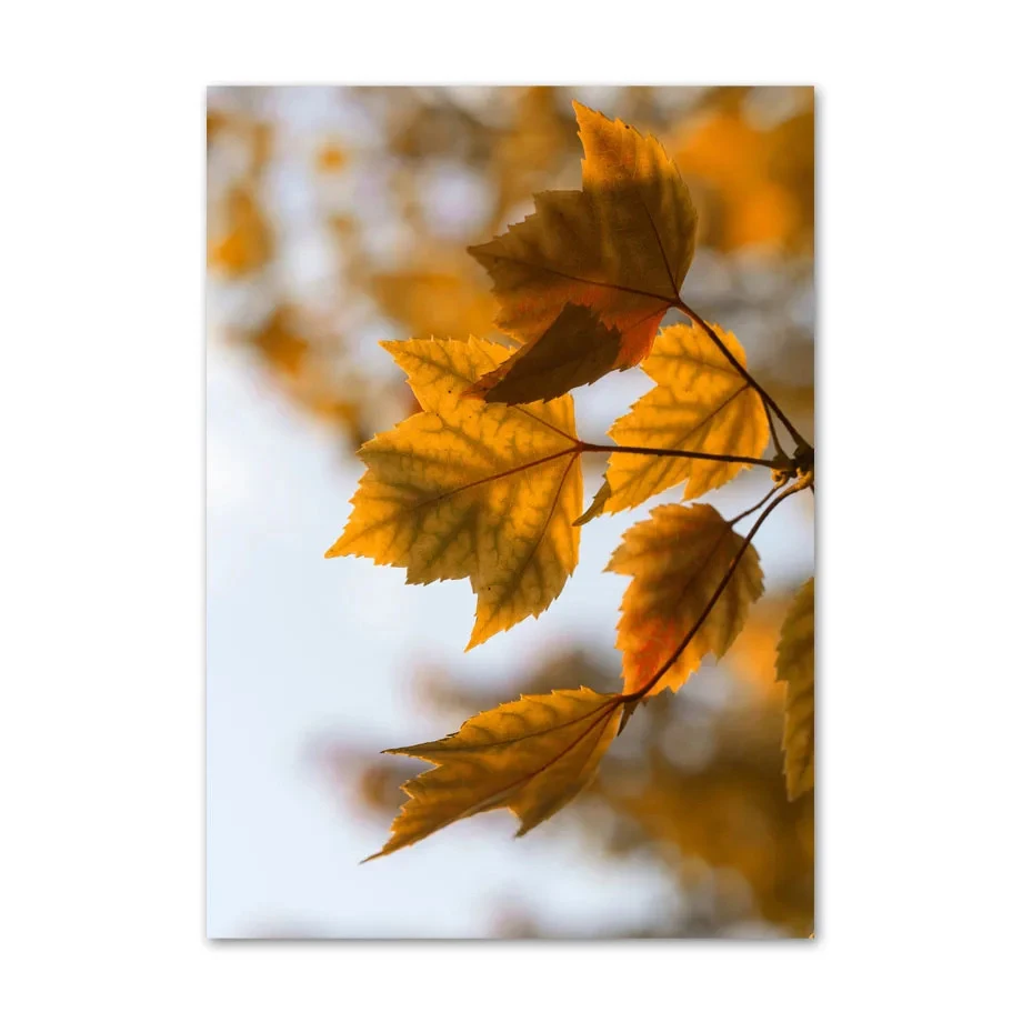 Осенний лес белка лиса тыква сосновый домик печать плакатов холст картина