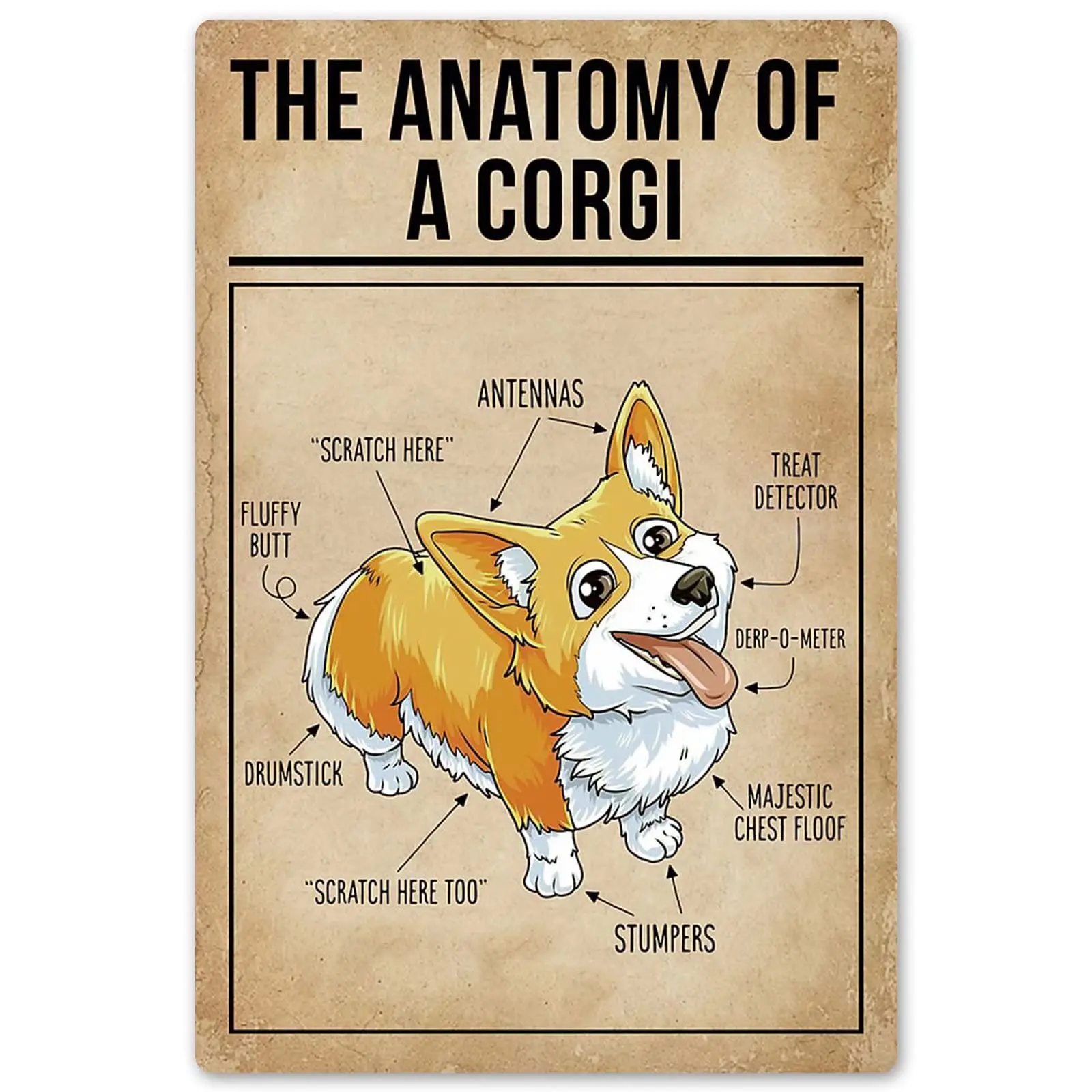 

Corgi Anatomy Posters Popular Science Knowledge Metal Signs Wall Decor Home Decor Animal Lovers Room Decor Farm Club Printing =