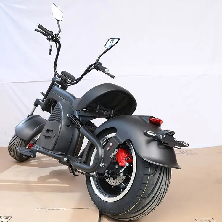 New arrival citycoco 3000w battery 60v 20ah scooter electric motorcycles