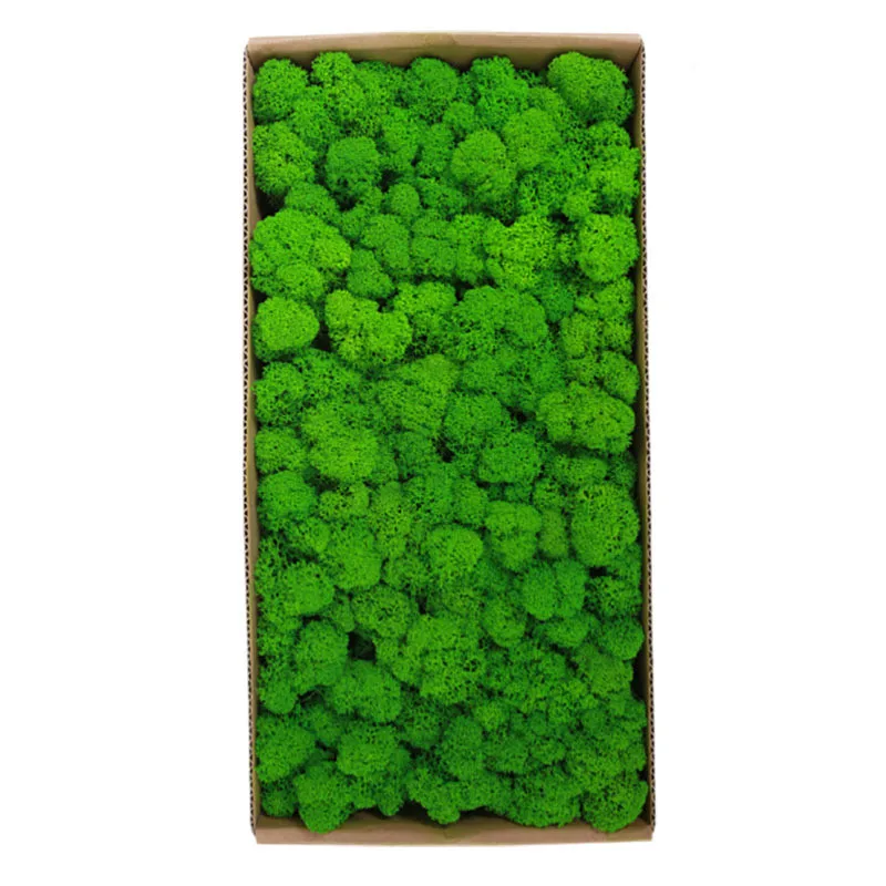 

500g Preserved Moss Wall Decoration No Maintenance Required Fake Artificial Plants Office Home Garden Decor Eternel Moss