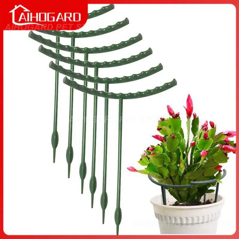

Planting Rack Plant Support Pile Plastic Garden Support Climbing Vine Flower Stand Greenhouse Arrangement Plant Support Frame