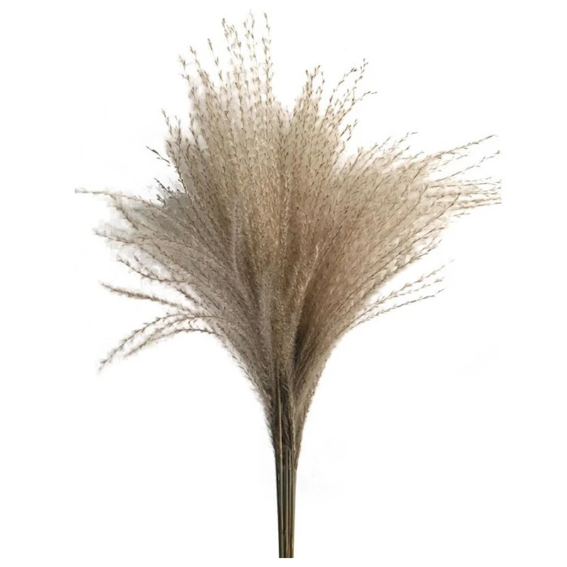 

100Pcs Natural Dried Pampas Grass Reed Home Wedding Home Decor Flower Bunch