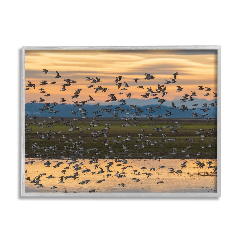 

Stupell Industries Flock of Birds Flying Lake Reflection Orange Sunset Painting Gray Framed Art Print Wall Art Room Decor Home