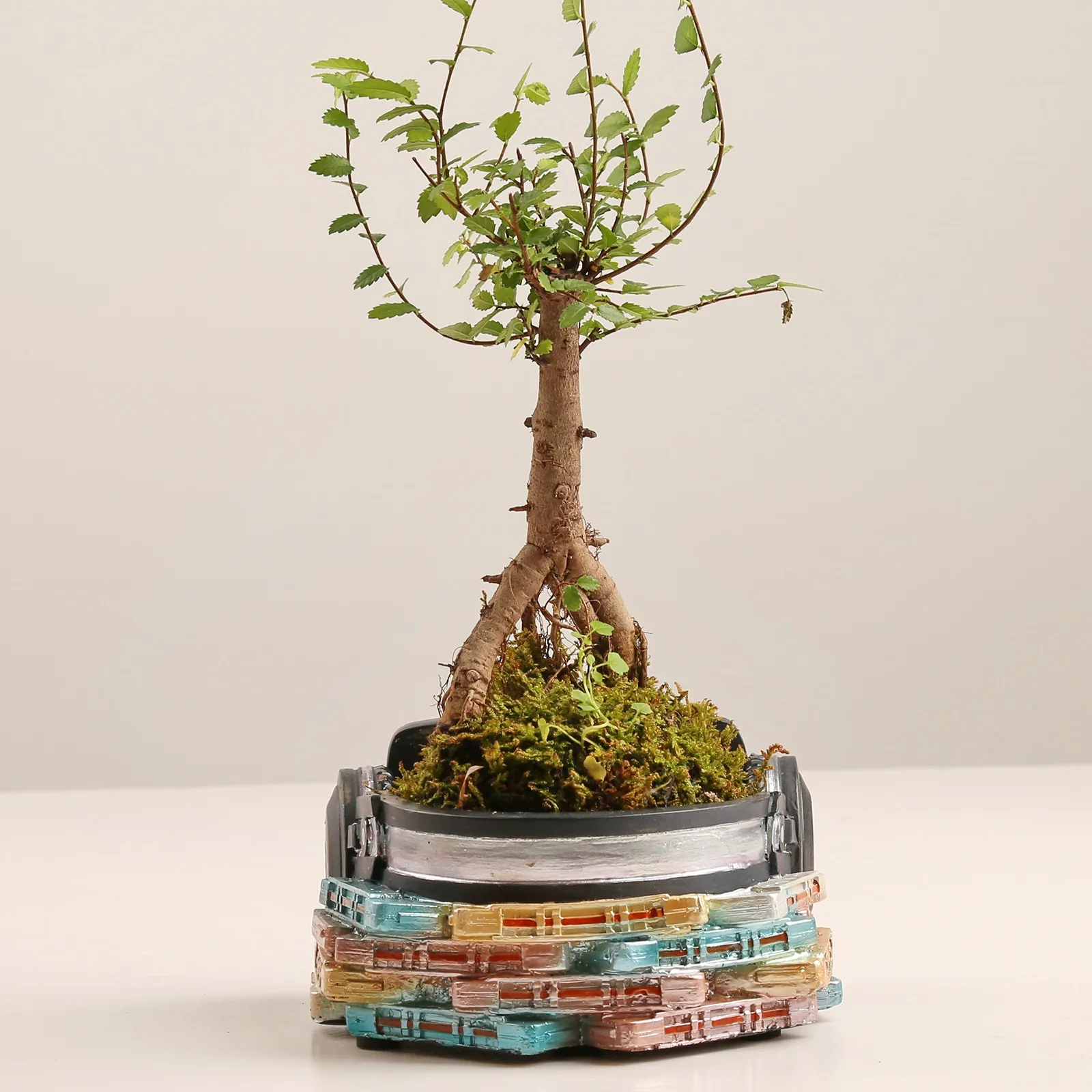 

Glass Vase for with Lids Ornaments Resin Plants Crafts Retro Potted Ornaments Flower Radio Pots Flower for outside Self Watering