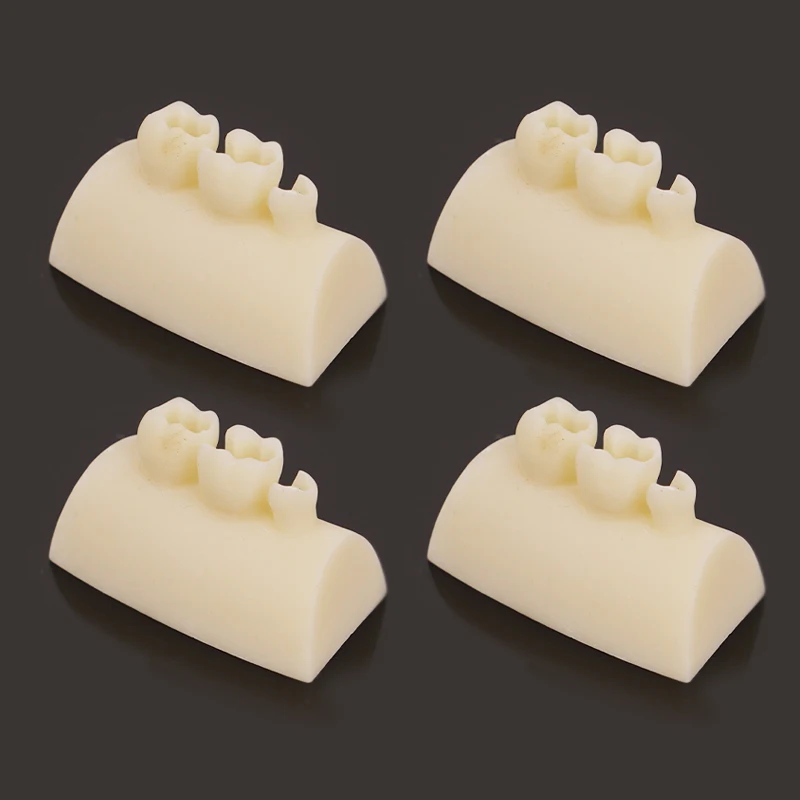 Модель для упражнений с зубной инкрустацией 2 шт.