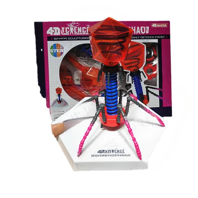 

Обучающее средство для медицинской потенции вирусной фаги, собранная анатомическая модель STEM, обучающая игрушка