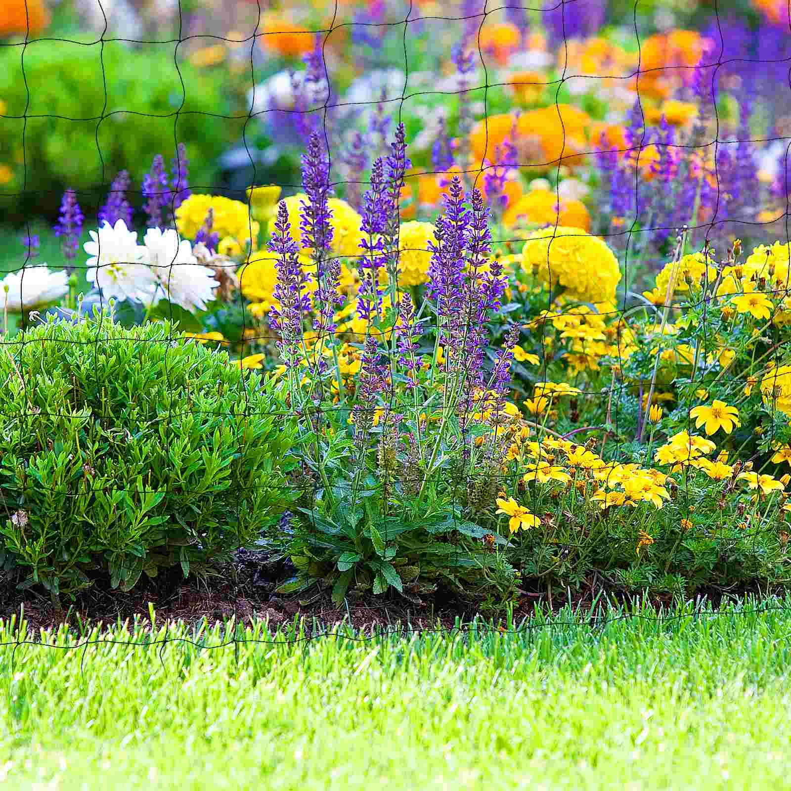 Нейлоновая сетка для птиц защиты растений курятника от животных защита