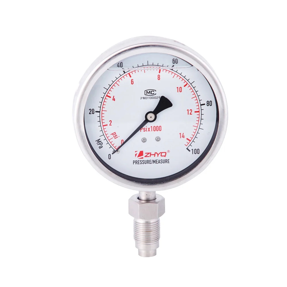 

Screw Thread Connection Diaphragm Pressure Gauge for Homogenizer