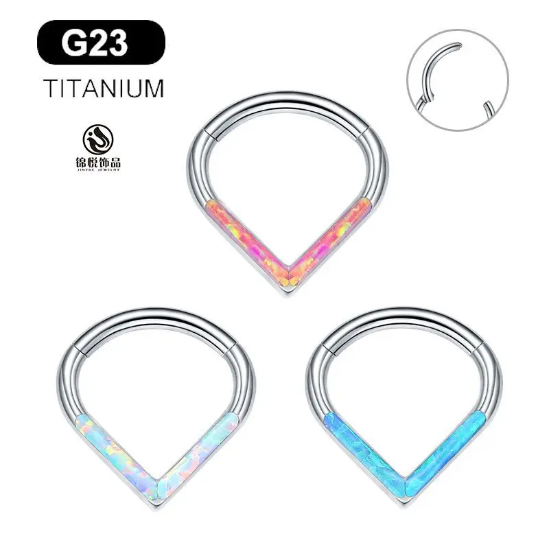 

G23 Titanium Hinged Segment Nose Stud Zircon Ball Hoop Septum Clicker Daith Lip Ear Cartilage Helix Piercing Nose Rings Jewelry
