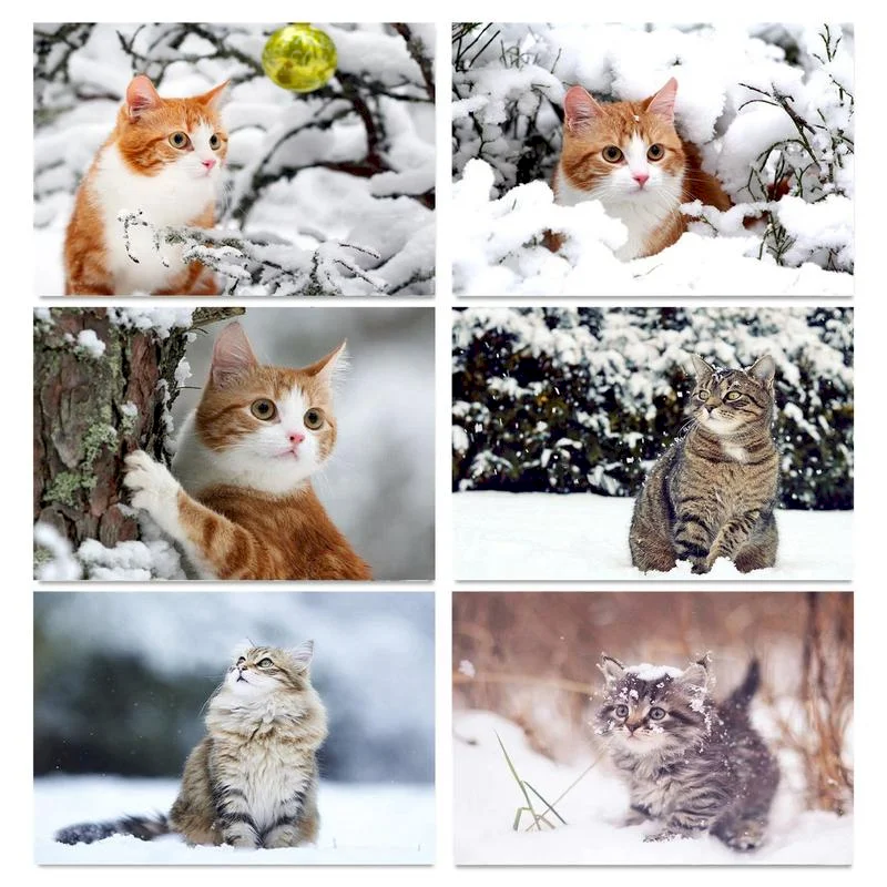 

DIY Oil Painting By Numbers Set Animal Home Decoration Coloring By Numbers Kits Cat Acrylic Paint Unique Gift