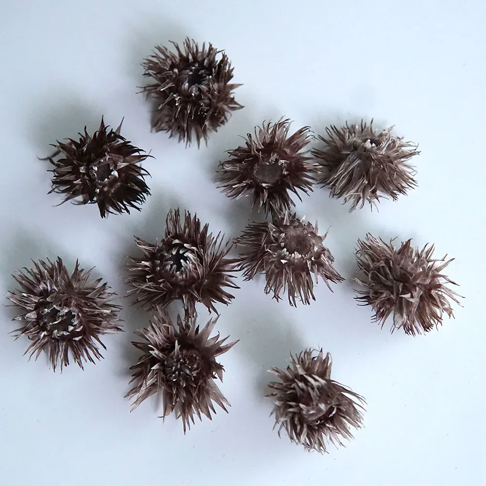 

Венок из сухоцветов снежного лотоса