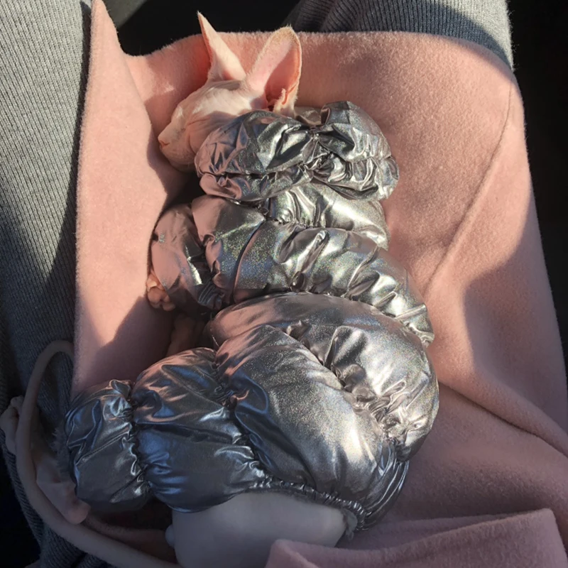 Дешево Зимний теплый комбинезон для кошек, одежда для домашних животных, костюм для питомцев