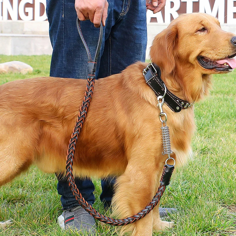 

PU Leather Large Dogs Leashes Rope Spring Shock Absorption Traction Belt for Walk Collar Dog Harness and Leash Set Pet Supplies