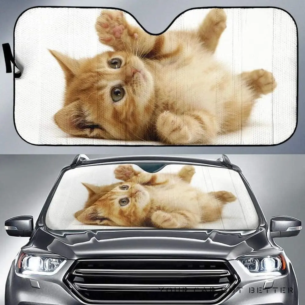 

Cute Kitten British Shorthair Cat Lying Image Print Car Sunshade, Cute Kitten British Shorthair Cat Playing Image Auto Sun Shade