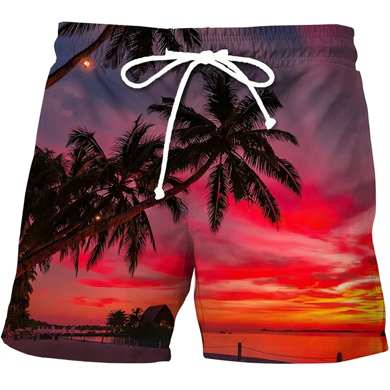 

Hawaii Vacation Summer Beach Shorts Men Casual Tropics Board Shorts 3D Printed Short Pants Homme Ropa Fashion Surf Swim Trunks