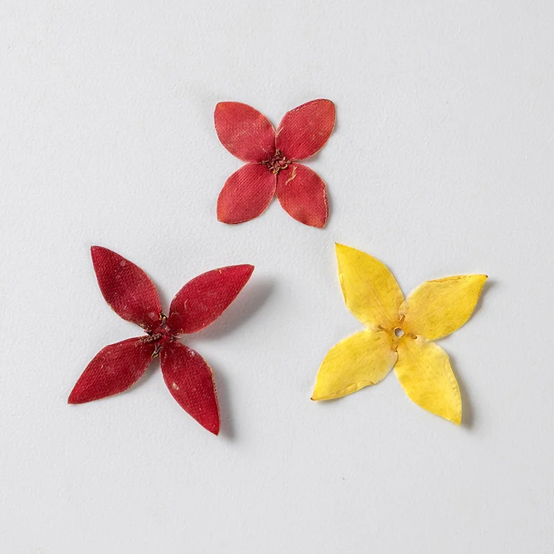 

Dried Flowers Ixora chinensis Pressed Flower For Resin Jewelry DIY Crafts Nails Decor Candle Soap Making Scrapbooking 12/24pcs