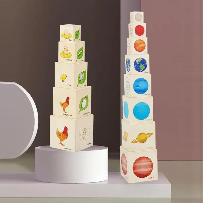 

Life Cycle Toys Life Cycle Wooden Blocks Learning & Education Toys Stacking Blocks Kids Figure Match Set Toy Stacking Block Sets