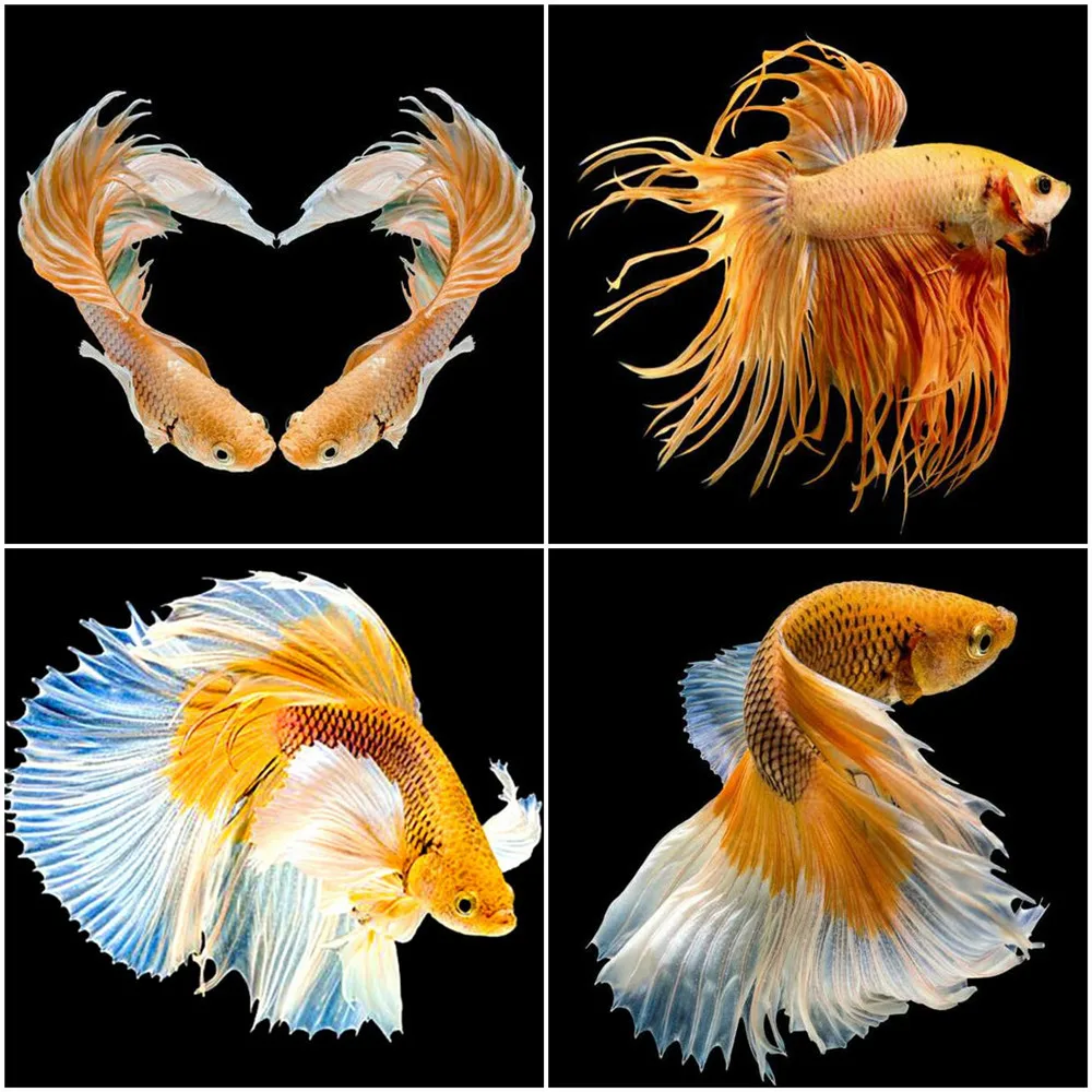 

5D Стразы Вышивка Рыба животное алмазная живопись Набор для вышивки крестиком Ручная инкрустация для дома гостиной настенное Искусство укр...