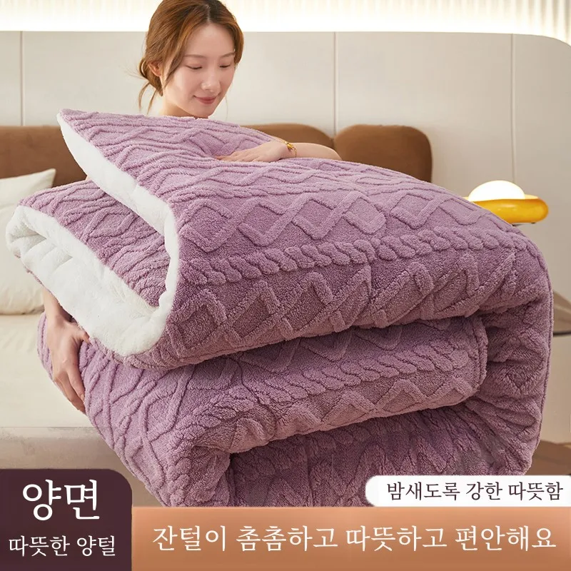 5.00kg Spring and Autumn Quilt Household Thickened Warm Berber Fleece Duvet Insert Winter Student Dormitory Singl...