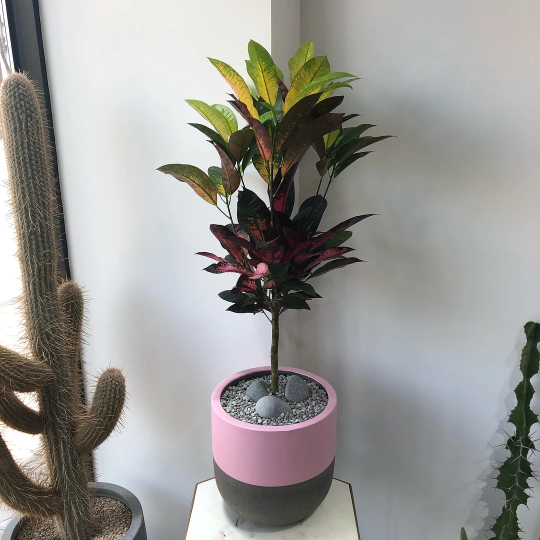 Big supply with good price set of 4 sizes round cement indoor succulent modern garden planter pot | Other Tool Parts