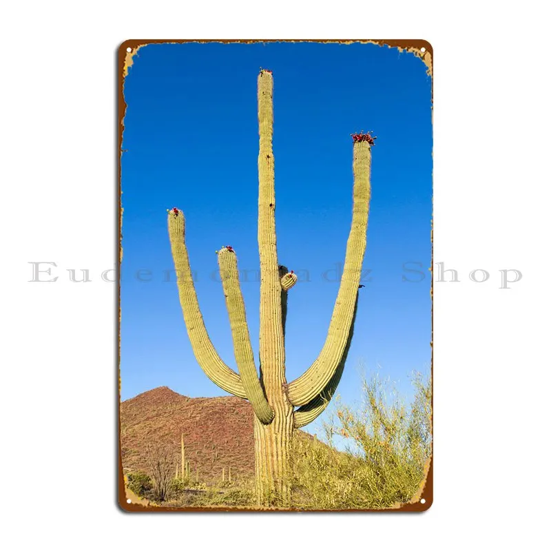 

Гигантские металлические таблички Saguaro, Настенный дизайн на заказ, Настенный декор, оловянный знак, плакат