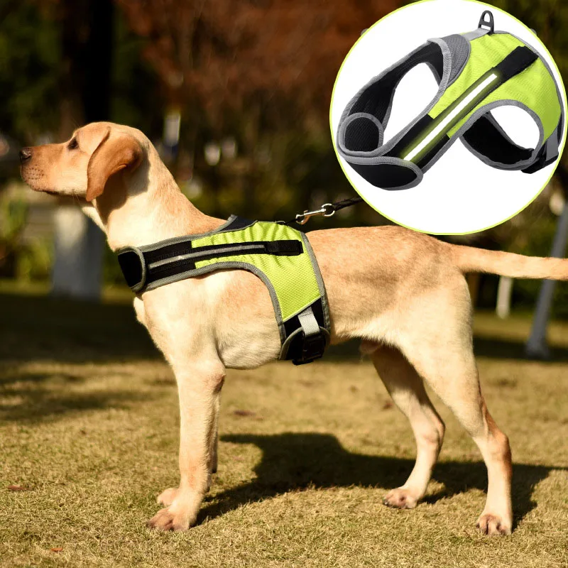 

Led Dog Chest Harness Leash Pet Light-Emitting Harness Explosion-Proof Punch Medium Large Dog Supplies Arnes Perro