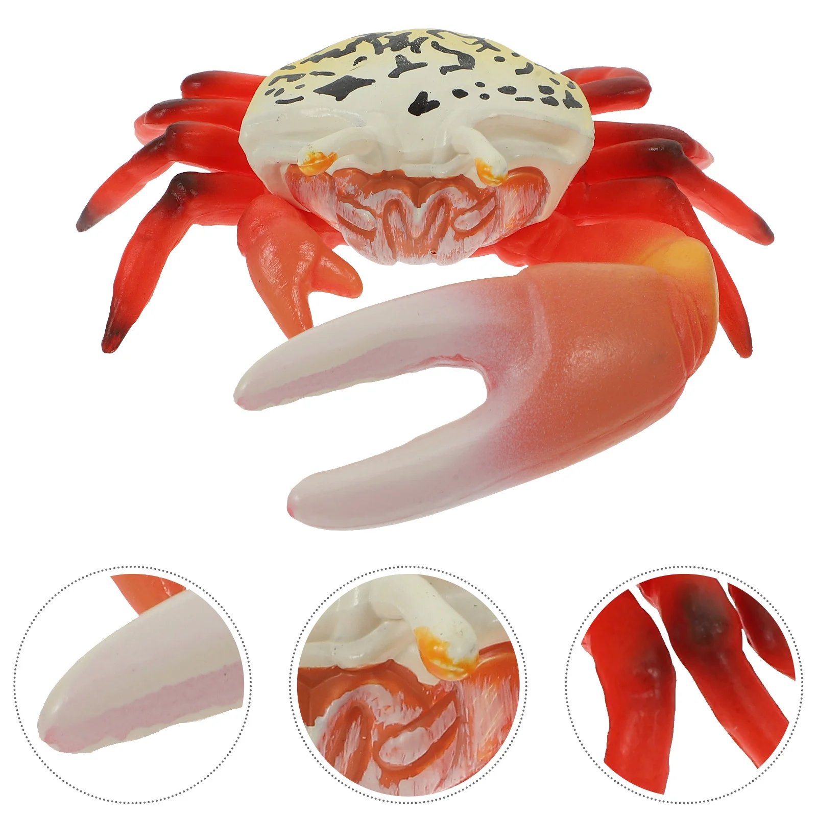 

Plastic Crab Toy Realistic Simulation Model Educational Lifelike Decor Fake Ornament Toys