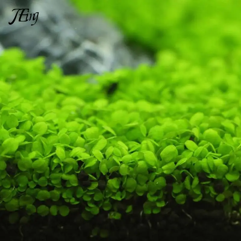 

Аквариум живой МХ растение аквариум заметки стекло полная система Co2 Проверка падения индикатор углекислого газа монитор