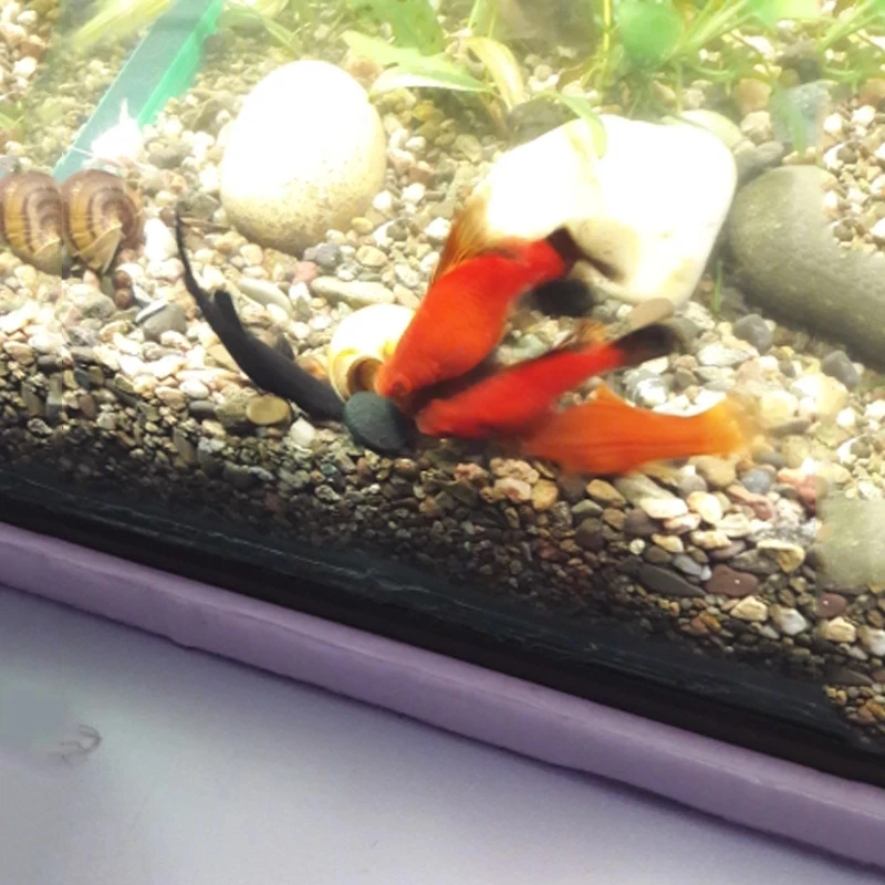 50 шт. 100% натуральная спирулина для повышения веса иммунная Органическая в