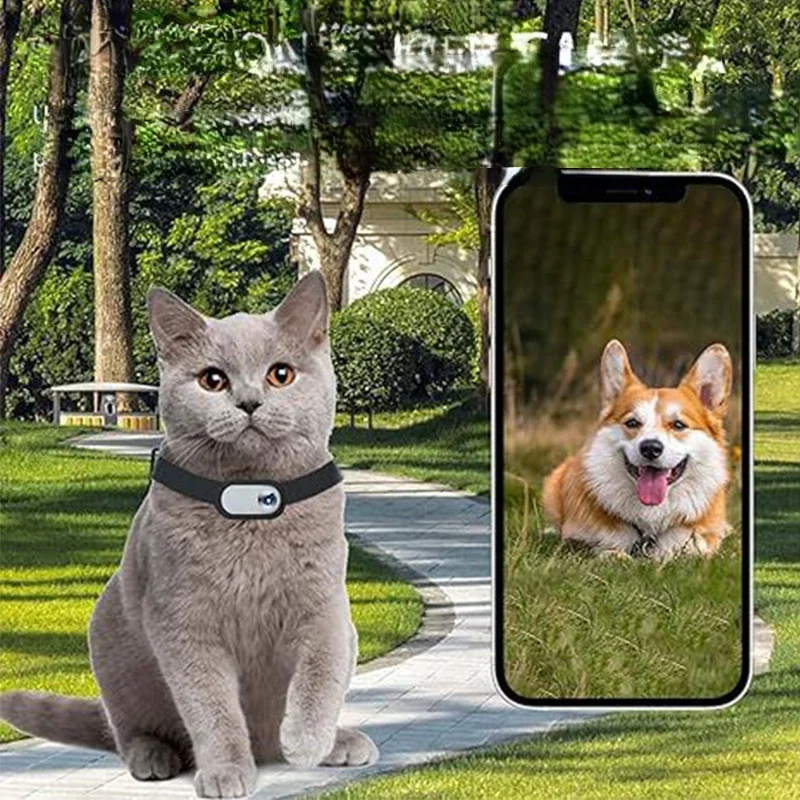 Регистратор для домашних животных перспектива кошек и собак запись движения