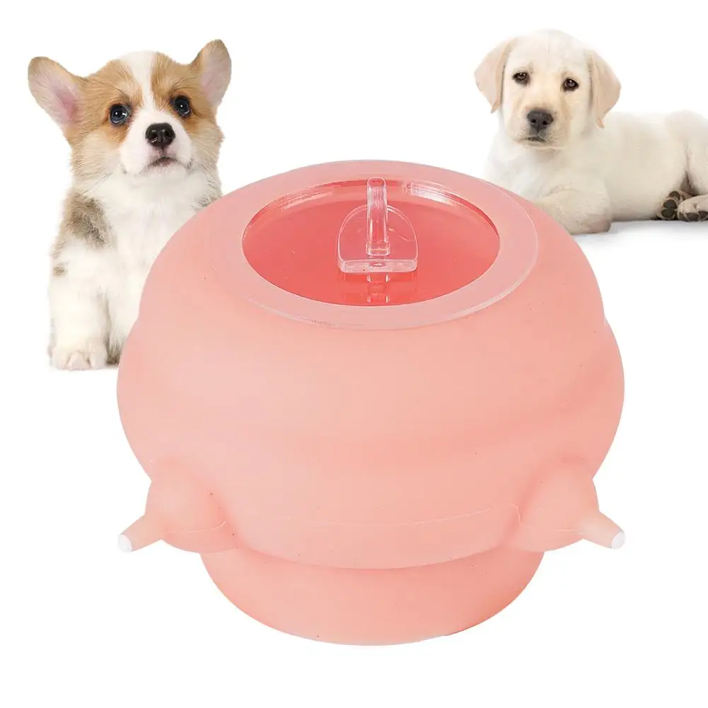 

Pet Milk Bowl Puppy Feeder Puppy Milk Feeder Puppy Nursing Station Puppy Feeders For Multiple Puppy Kitten Silicone Feeding X1i4