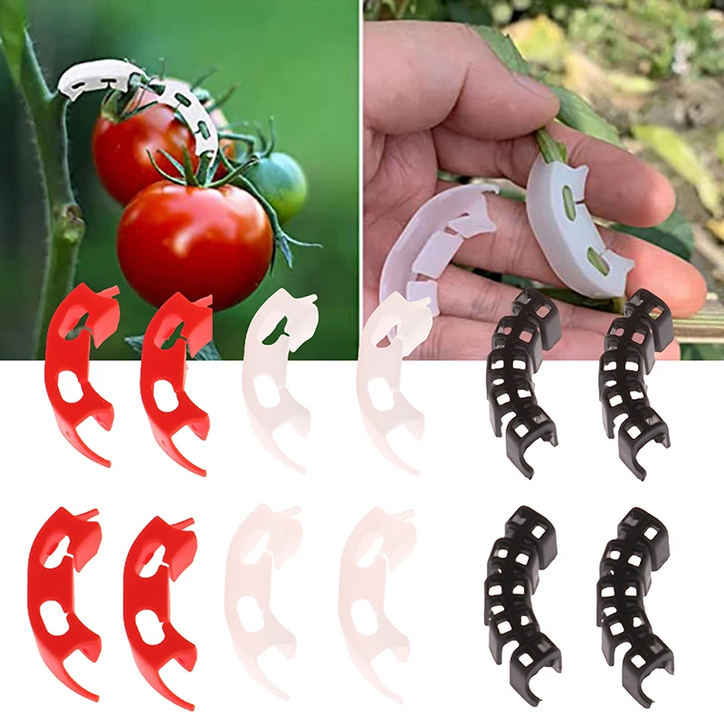 

50Pcs Plant Branches Bender Reusable Branches Clips Low Stress Plant Training Control The Growth Garden Decoration