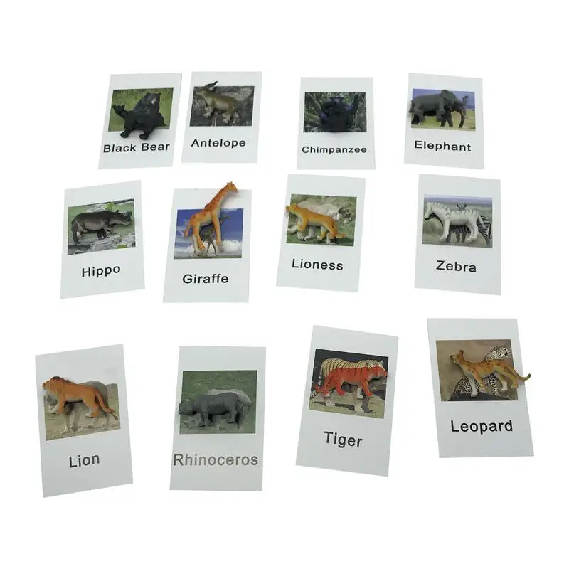 

Animal Matching Cards Montessori Marine Zoo Animals Figure Match Animal Matching Cards For Babies Word Learning And Kown More