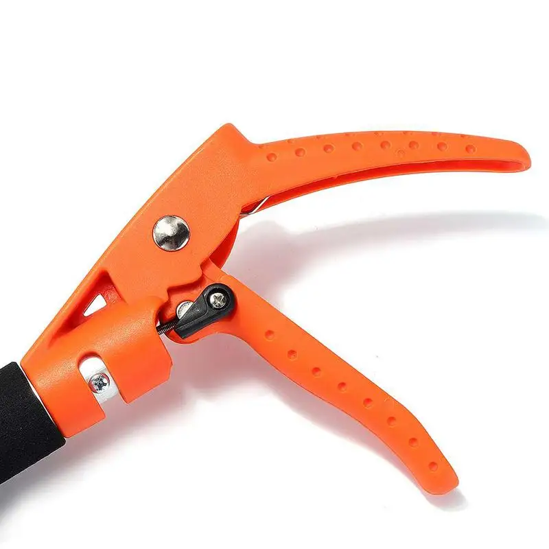 

Cut And Hold Tree Pruner Short Branches Bypass Lopper Cut And Hold Pruning Shears For Garden Fruit Picking Branches Trimming