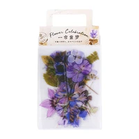 hand account sticker package transparent waterproof small fresh plant flower hand account collage decorative material