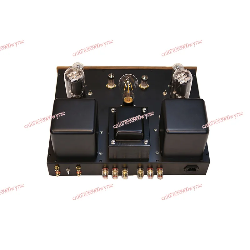 Высокомощный ламповый усилитель 805A Gallbladder 45WX2
