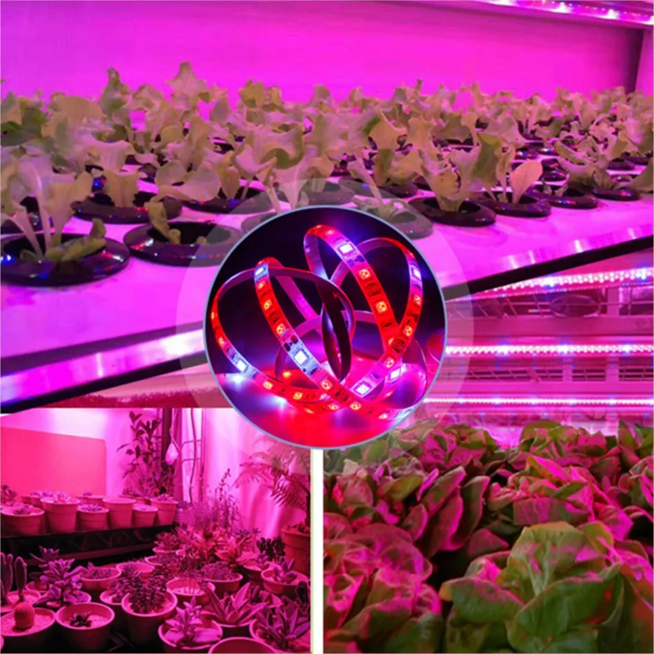 Гибкая лента для регулировки роста растений 12 В 5 А