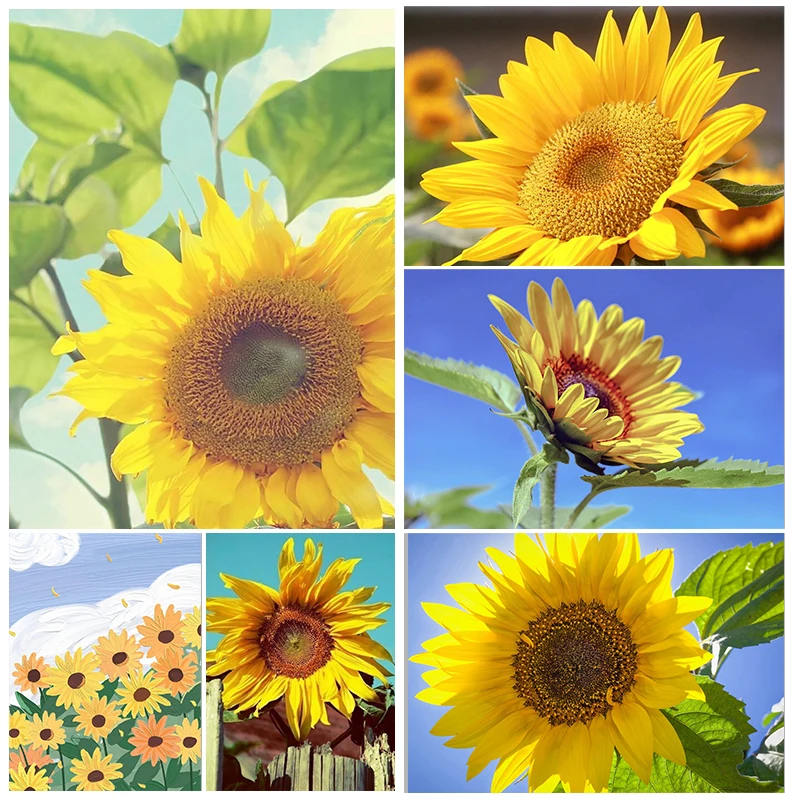 

YOUQU Flower 5D DIY Diamond Painting Sunflower Full Round/square Diamond Embroidery Mosaic Cross Stitch Set Home Decoration Gift