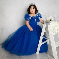 blue princess puffy toddler flower girl dresses off shoulder birthday costumes wedding photography gown customised drop shipping