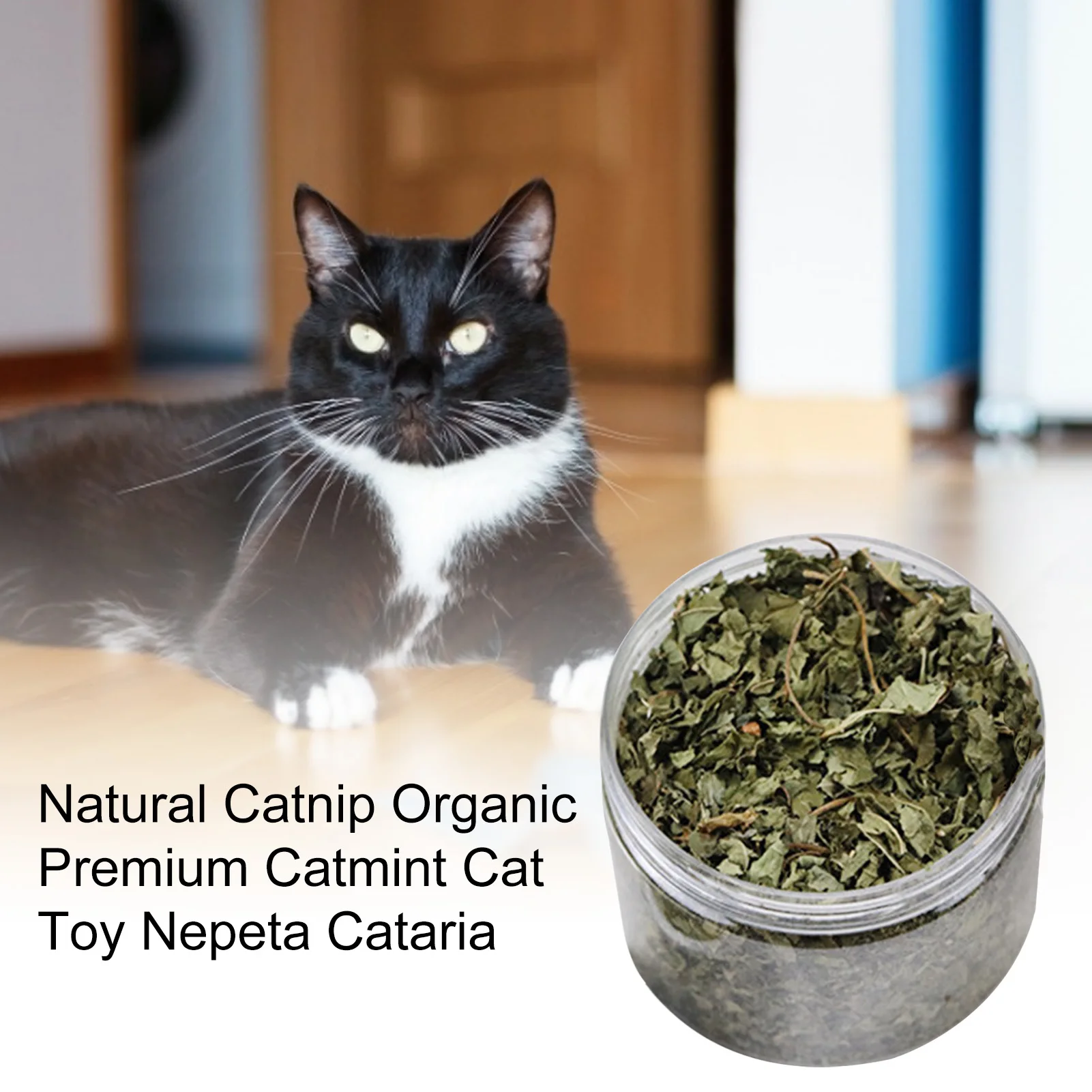 

40g Organic 100% Natural Catnip High Quality Cattle Grass Mint Taste Funny Cat Toy New Cat Toy Interactive Cat Toys Pet Supplies