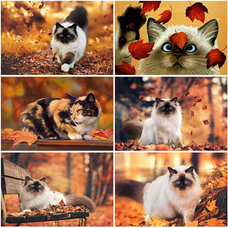 

DIY 5D Cute Cat Diamond Painting for Adults Kids Full Round Diamond Mosaic Embroidery Cross Stitch Kits Autumn Home Decor