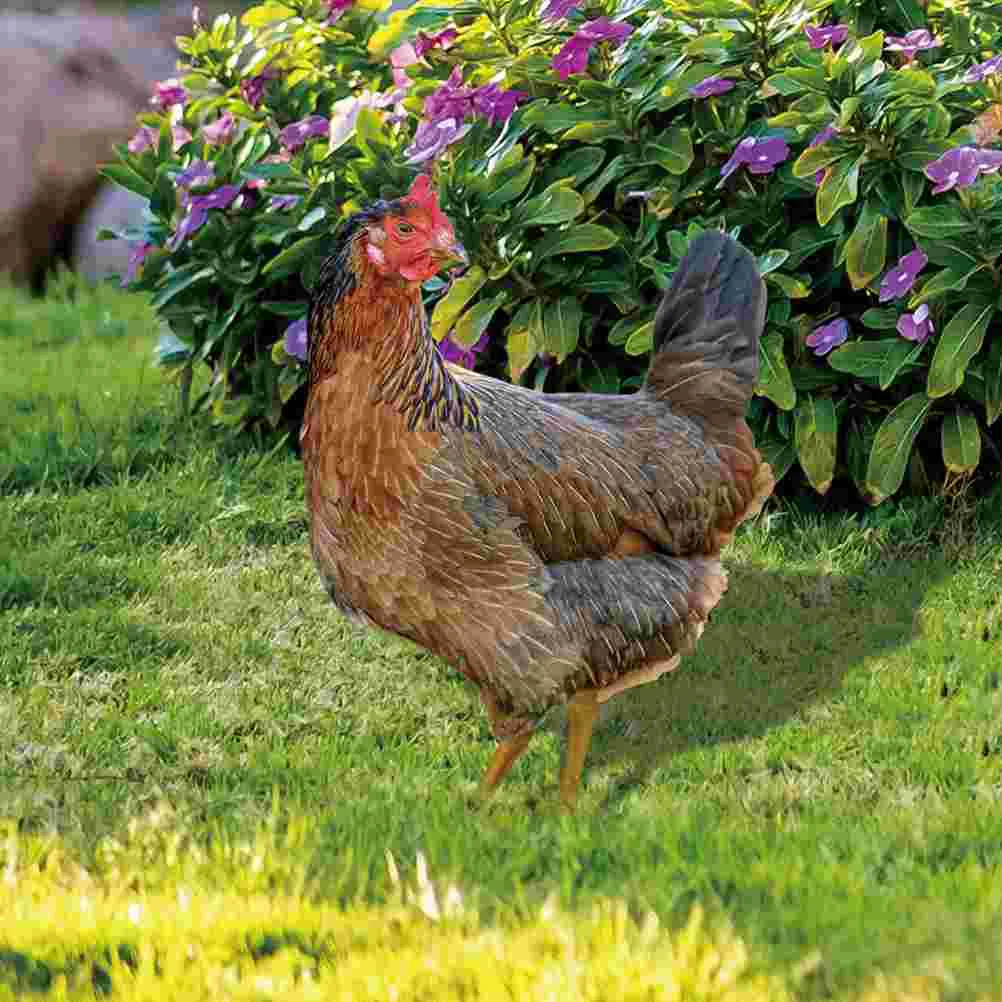 

Decorative Garden Inserts Acrylic Chicken Stake Lawn Decoration Outdoor Courtyard