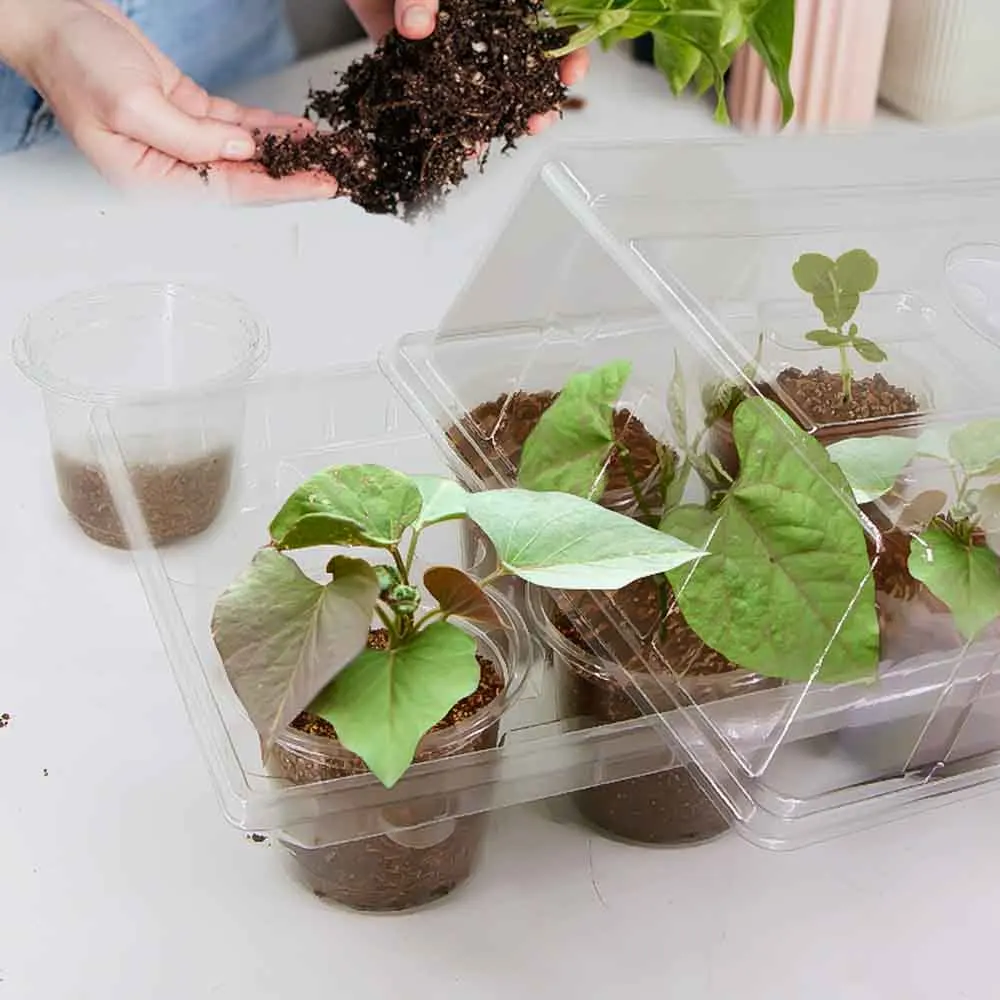 Плантатор для домашнего сада 6 чашек прорастания семян