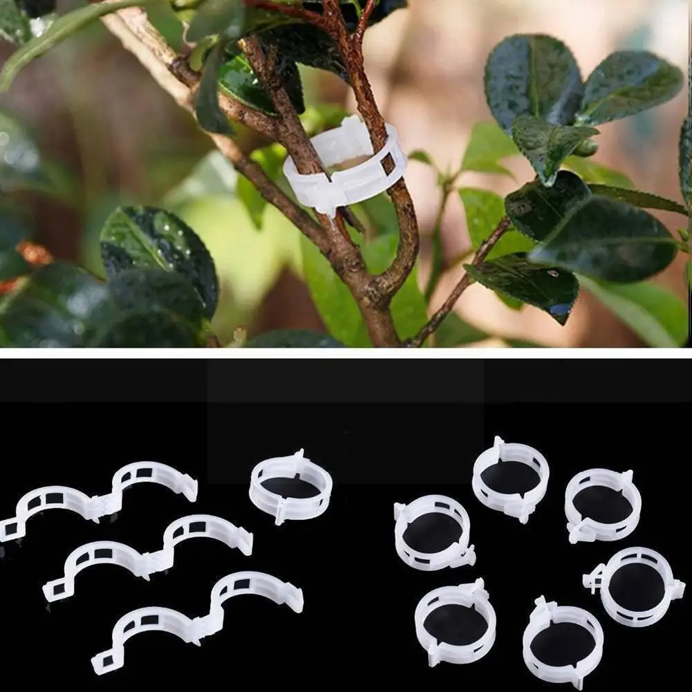 

10pcs Plastic Vine Clip Plant Clips Tomatoes Hanging Trellis Vine Connects Plants For Garter Plants Agriculture D0b3
