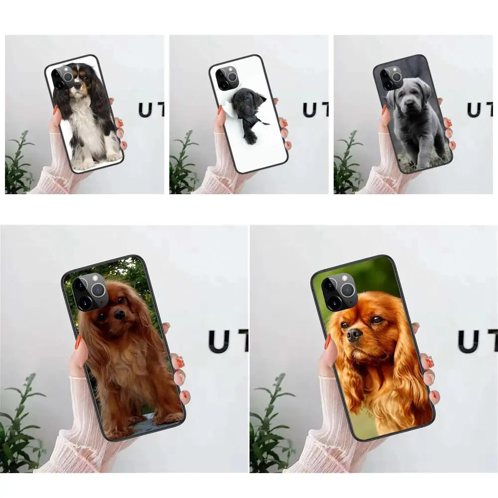 Soft Phone Cover Bags I Love My Shar Pei Dog Puppies Your Favorite For Xiaomi Pocophone F1 F2 F3 Note 3 10 Mix 2 2S M3 X2 X3 GT